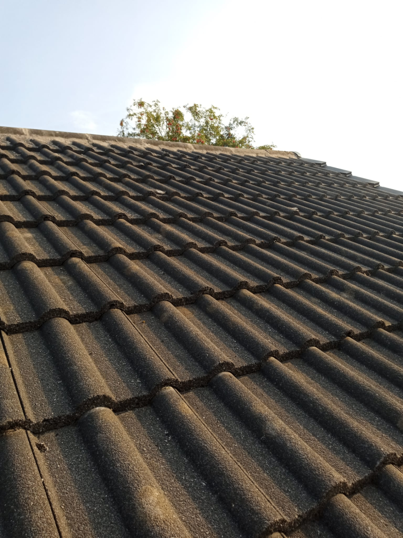 Concrete tile roof before cleaning showing moss and weathering Lancashire