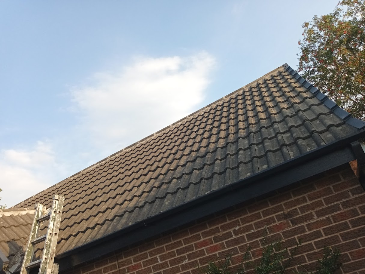 Cleaned and restored roof